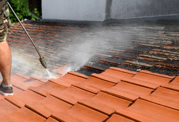 Best House Pressure Washing  in San Martin, CA